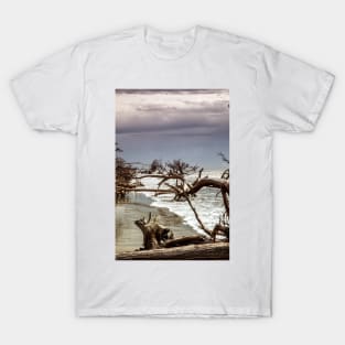 Edisto Beach South Carolina T-Shirt